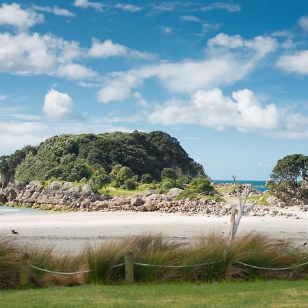 Sunny And Spacious - Moments From The Beach And Downtown Mount Maunganui Kültér fotó