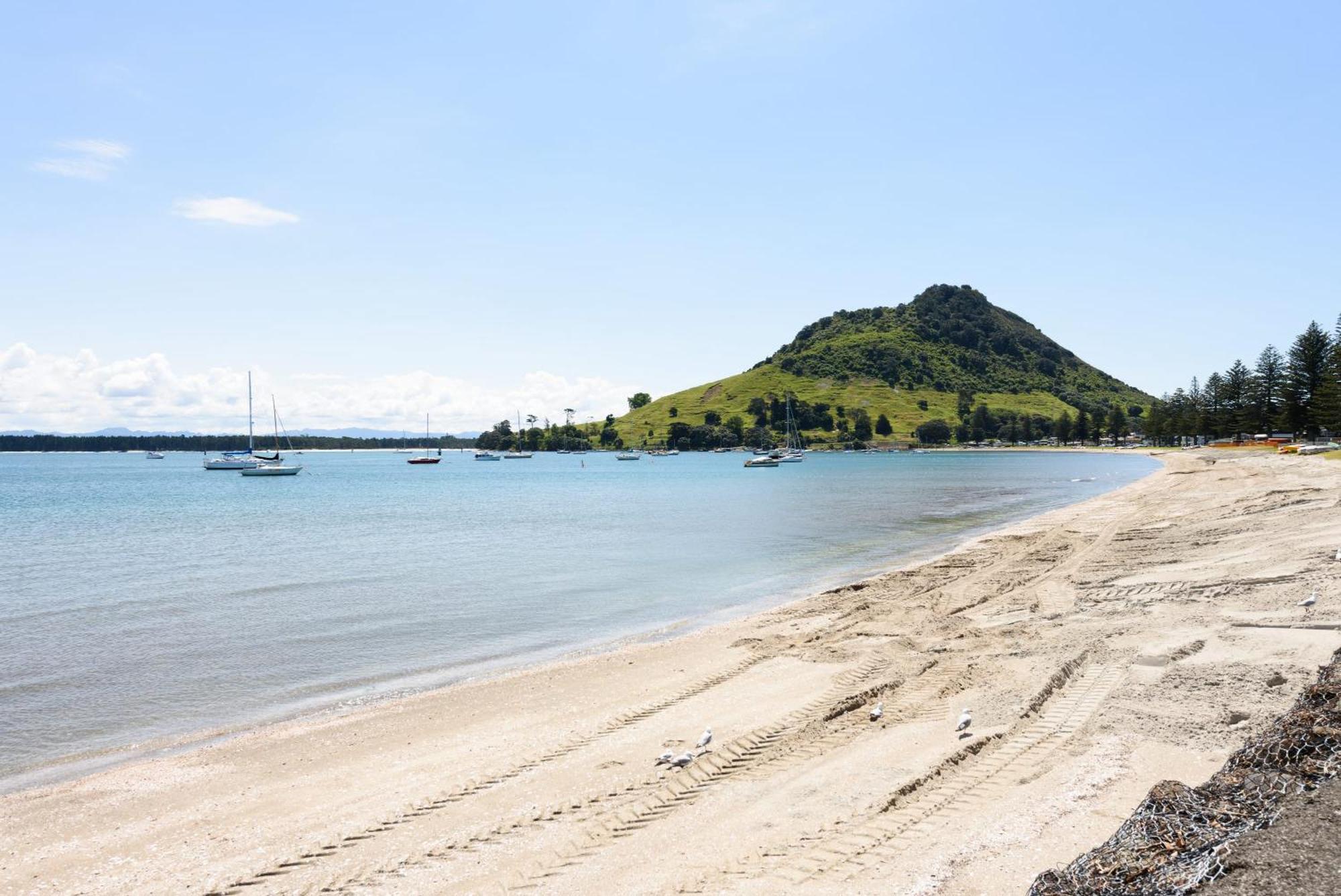 Sunny And Spacious - Moments From The Beach And Downtown Mount Maunganui Kültér fotó