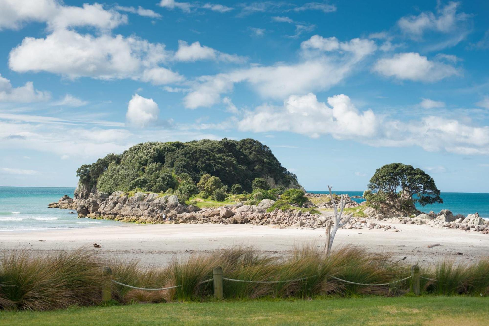 Sunny And Spacious - Moments From The Beach And Downtown Mount Maunganui Kültér fotó