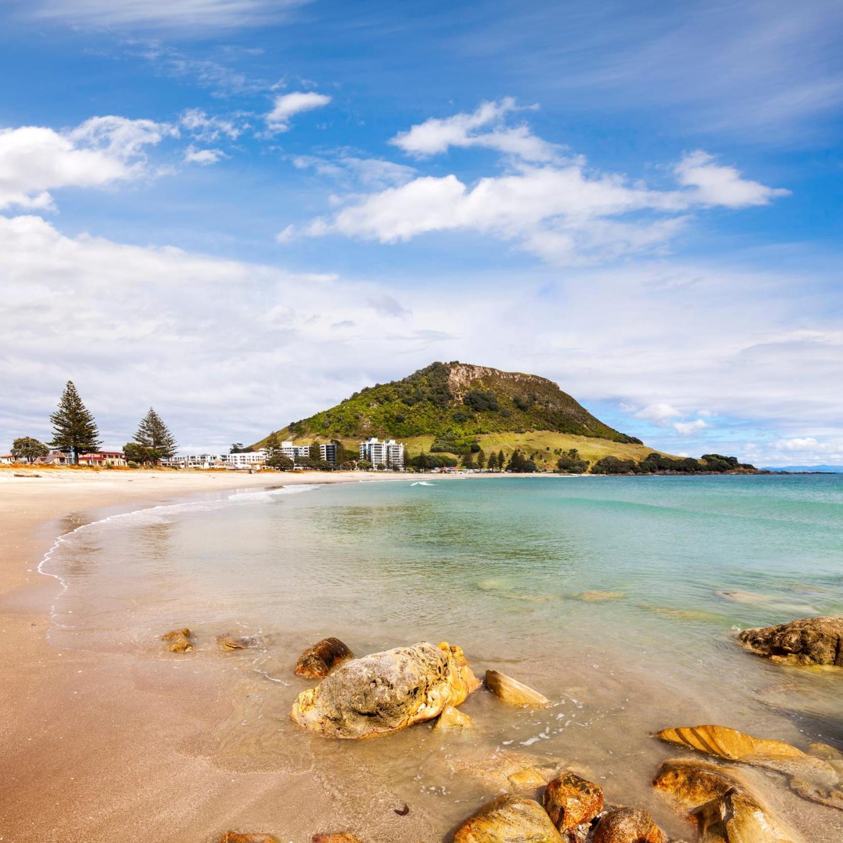 Sunny And Spacious - Moments From The Beach And Downtown Mount Maunganui Kültér fotó